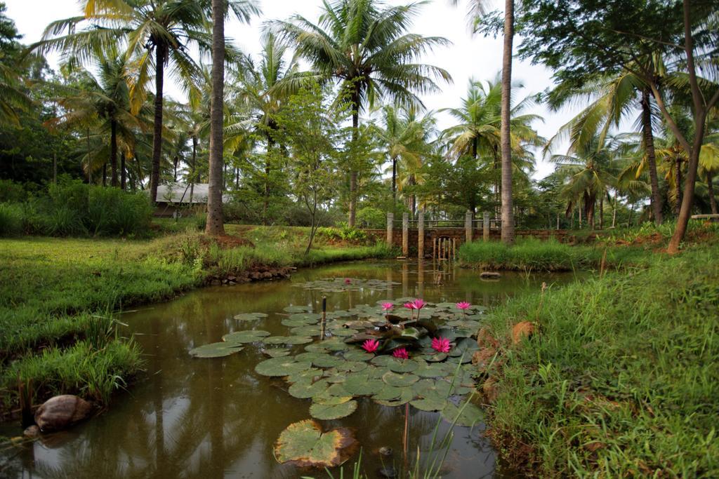 Shreyas Retreat Hotell Nelamangala Eksteriør bilde